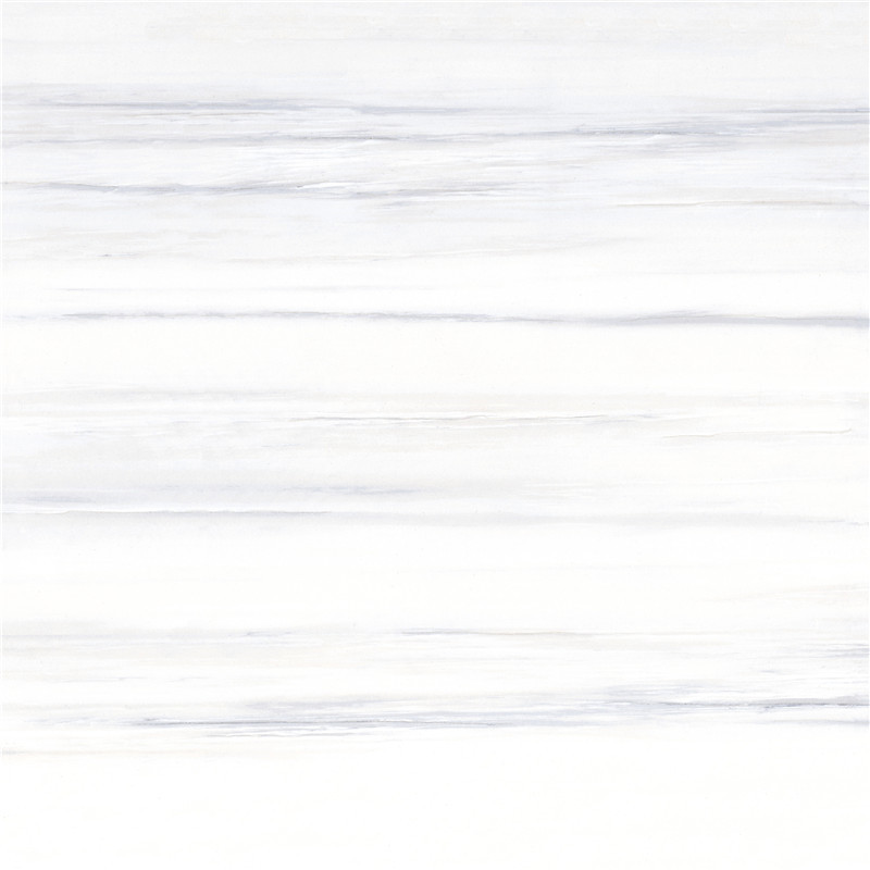 600*600 PM6006